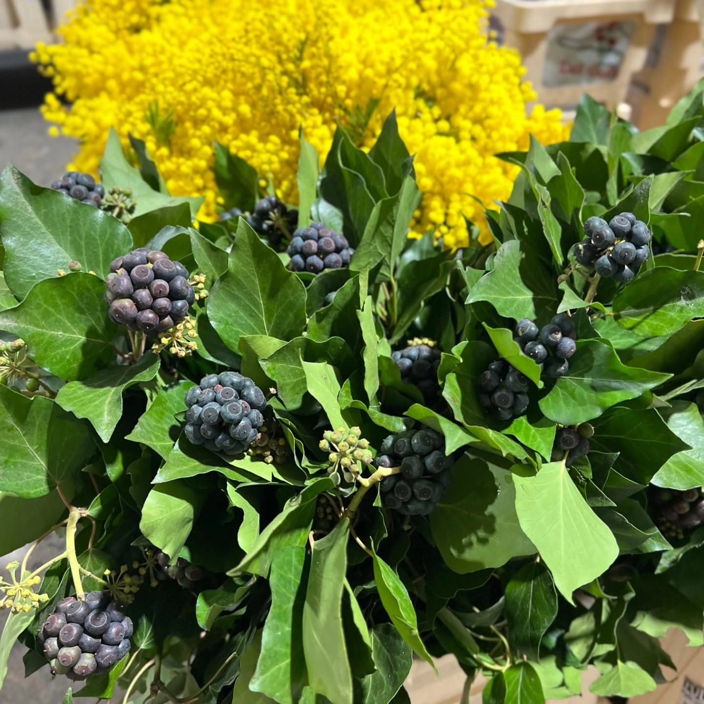 Frunze verzi și fructe decorative în depozit