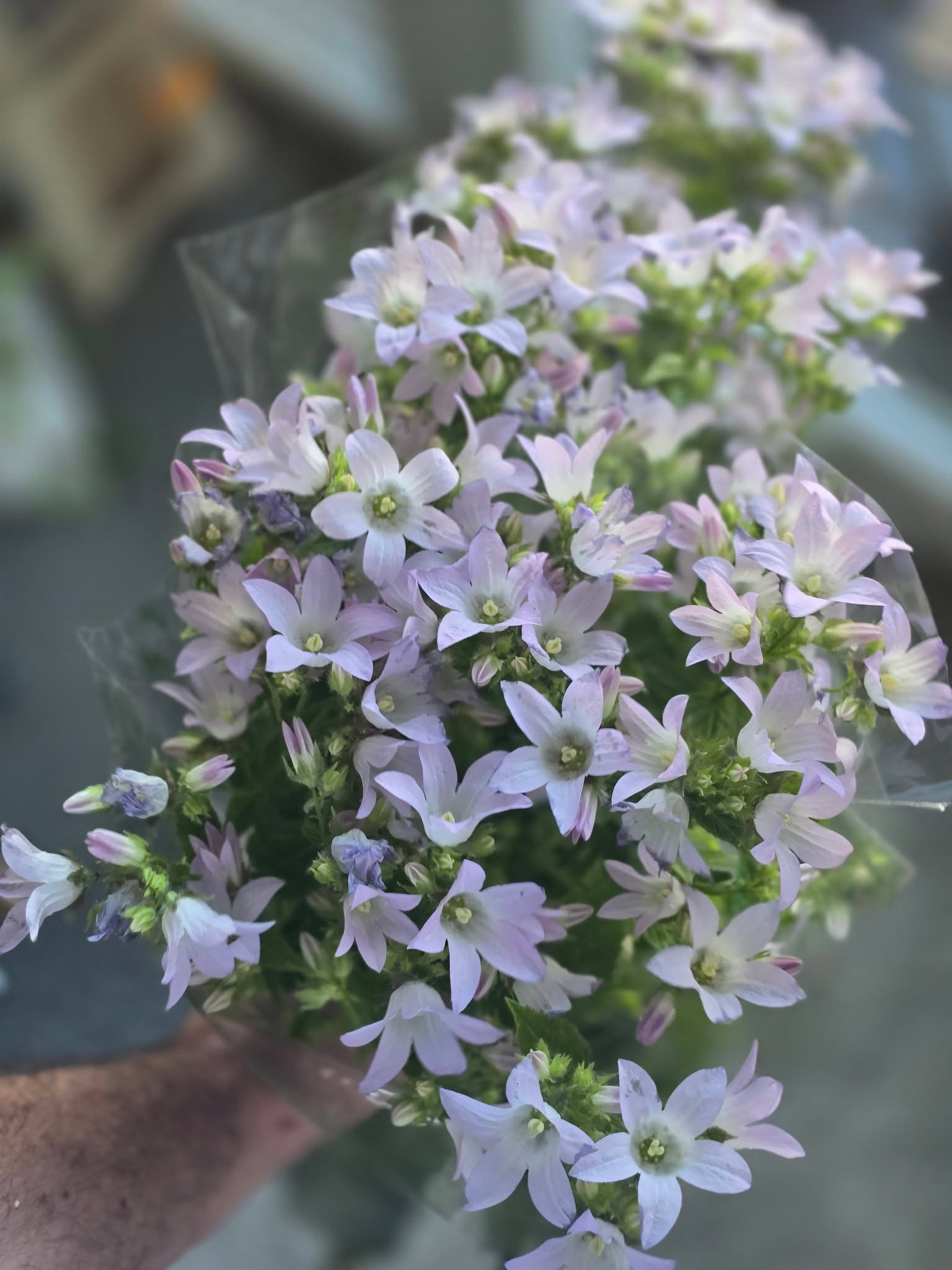 Buchet cu flori mici în nuanțe delicate de lila